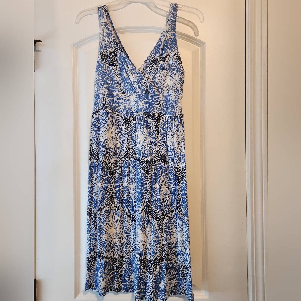 Blue and white tank dress